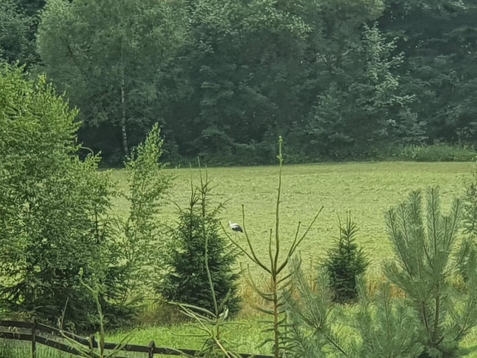 Wellness-Beskydy Villa Prostřední Bečva Bagian luar foto