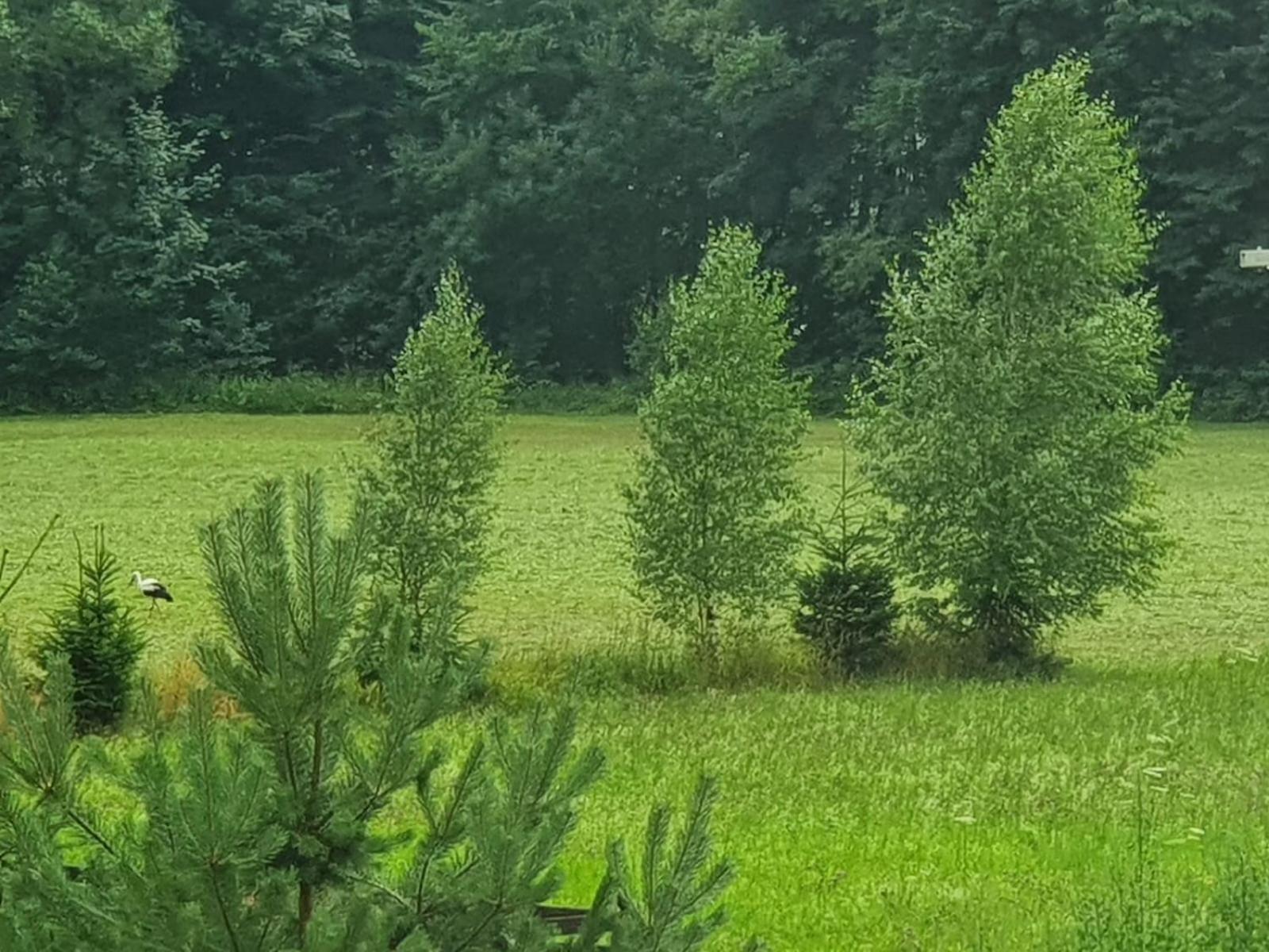 Wellness-Beskydy Villa Prostřední Bečva Bagian luar foto